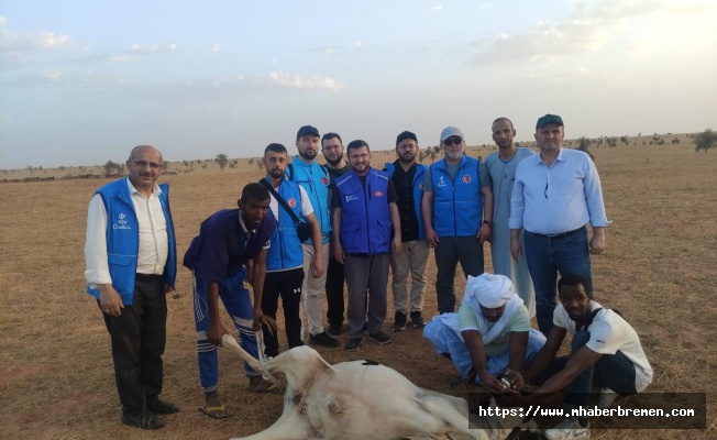 Moritanya’da Bir Kurban, Bin Umut: Almanya’dan Afrika’ya Kardeşlik Köprüsü
